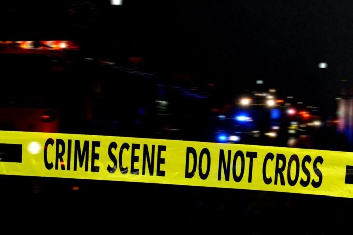 Assault With a Deadly Weapon and Burglary Suspect Arrested | North ...